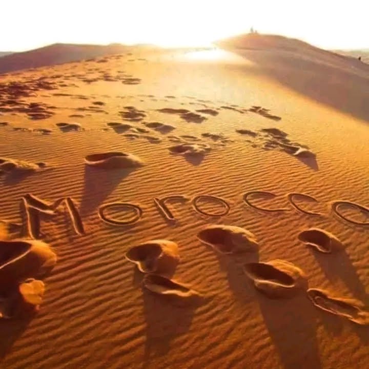 Explore Morocco Birding Tours: 8 Days of Wildlife Wonders morocco airport transfers