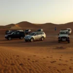 Airport Transfers in morocco - Morocco birding tours Sahara expedition - transfers around Morocco