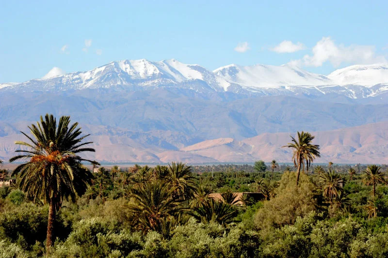 Explore the Skoura Palm Grove