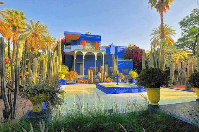 first best things to do in marrakech is Explore the Enchanting Jardin Majorelle